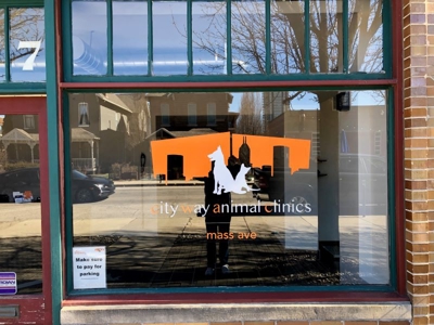 Window Graphics Photo